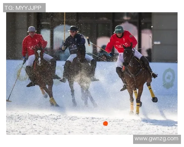 阿根廷龙对决强敌探秘比赛背后的故事与精彩瞬间