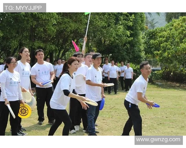 飞盘热潮下的杭州飞盘队意识转变与团队精神重塑探讨MBA